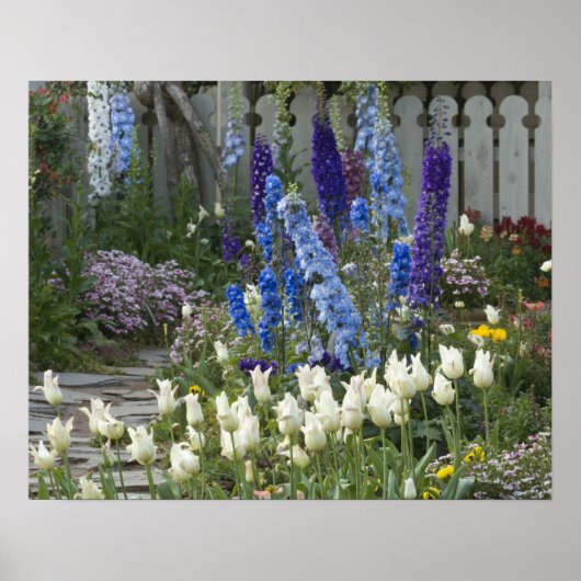 Poster Fleurs printanières le long d'un chemin de jardin, (Devant)