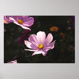 POSTER FLEURS PURPLE PETALED