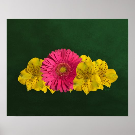 Poster Fleurs rose et jaune vif Imprimer (Devant)