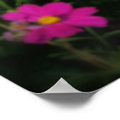 Poster fleurs rose vif (Coin)