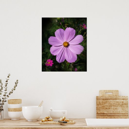 Poster fleurs rose vif (Cuisine)