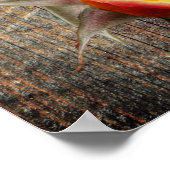 Poster Fleurs Rosebud Jaunes Sur Barnboard (Coin)