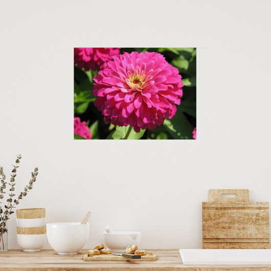 POSTER FLEURS ROSES (Cuisine)