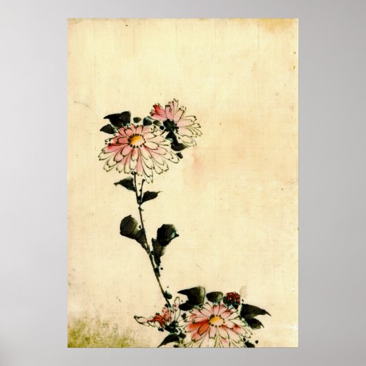 Poster Fleurs roses 1840 (Devant)
