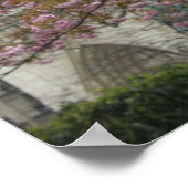 Poster Fleurs roses à Notre Dame (Coin)