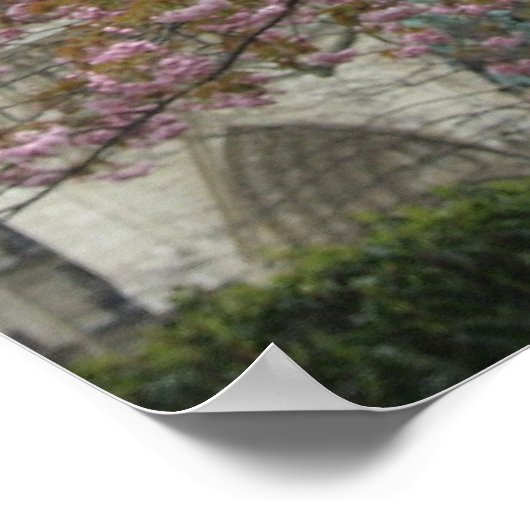 Poster Fleurs roses à Notre Dame (Coin)