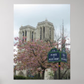 Poster Fleurs roses à Notre Dame (Devant)