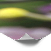Poster Fleurs roses adorables (Coin)