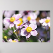 Poster Fleurs roses adorables (Devant)