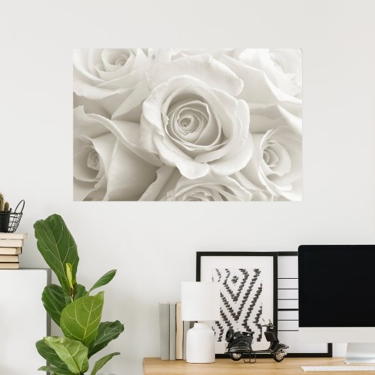 Poster Fleurs | Roses blanches (Bureau à domicile)