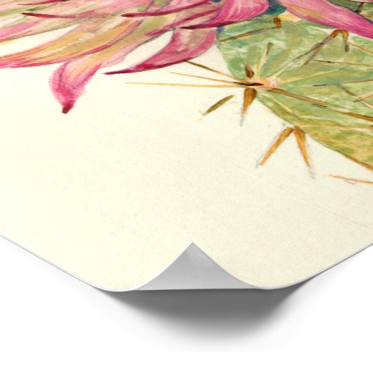 Poster Fleurs roses de cactus (Coin)