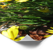 Poster Fleurs roses et jaunes (Coin)