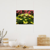 Poster Fleurs roses et jaunes (Cuisine)