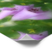 Poster Fleurs roses Foxglove Abstraites (Coin)