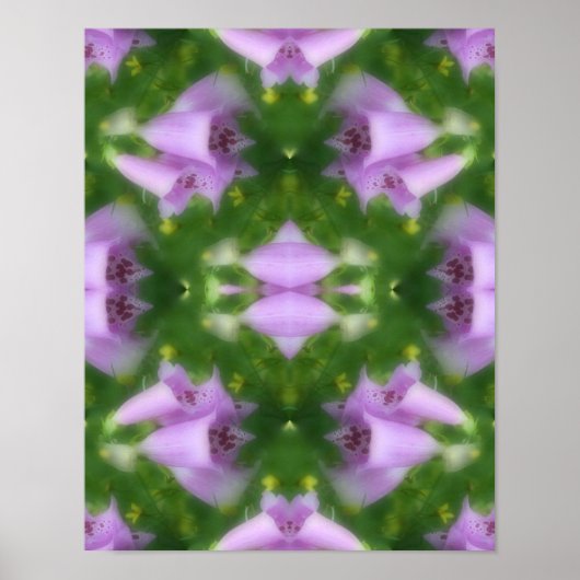 Poster Fleurs roses Foxglove Abstraites (Devant)