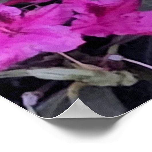 Poster Fleurs roses Rhododendron (Coin)
