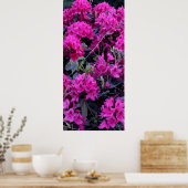 Poster Fleurs roses Rhododendron (Cuisine)
