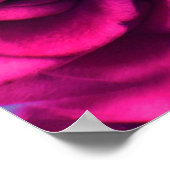 Poster Fleurs roses rose arrière - plan (Coin)