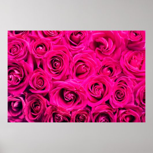 Poster Fleurs roses rose arrière - plan (Devant)