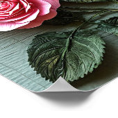 Poster Fleurs roses roses roses (Coin)