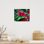 Poster Fleurs roses tropicales (Cuisine)