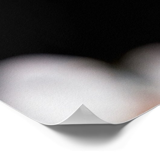 Poster Fleurs Sakura (Coin)