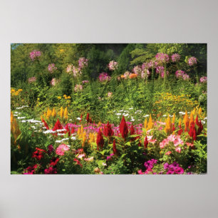 Poster Fleurs sauvages
