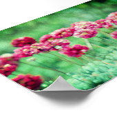 Poster Fleurs sauvages (Coin)