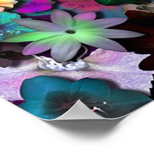 Poster Fleurs sauvages (Coin)