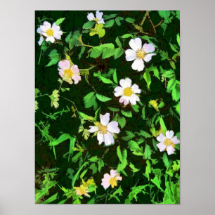 POSTER FLEURS SAUVAGES