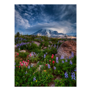 Poster Fleurs sauvages
