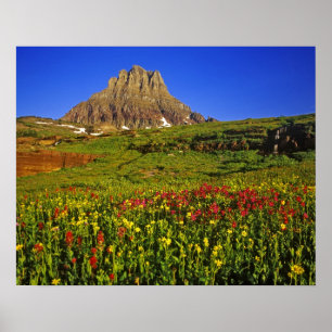 Poster Fleurs sauvages alpins au col Logan à Glacier