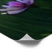 Poster *~ Fleurs sauvages AP56 Peinture Imaginaire fille (Coin)