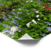 Poster Fleurs sauvages au Mont Rainier (Coin)