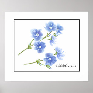 Poster Fleurs sauvages Bleu-Poster