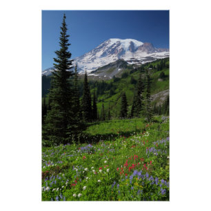 Poster Fleurs sauvages chez le mont Rainier