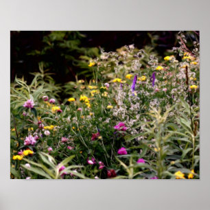 Poster Fleurs sauvages Dans La Peinture À L'Huile De Phot