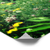 Poster Fleurs sauvages Dans Le Champ 2 Fleur (Coin)