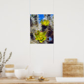 Poster Fleurs sauvages de Cholla Cactus en argent (Cuisine)