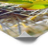 Poster Fleurs sauvages de Cholla Cactus en argent (Coin)