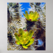 Poster Fleurs sauvages de Cholla Cactus en argent (Devant)