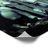 Poster Fleurs sauvages de Fleurs de fantômes indiens blan (Coin)