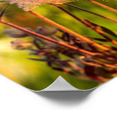 Poster Fleurs sauvages De Fumée Des Prairies À Aspen Grov (Coin)