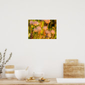 Poster Fleurs sauvages De Fumée Des Prairies À Aspen Grov (Cuisine)