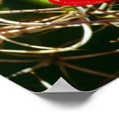 Poster Fleurs sauvages de la coupe Claret (Coin)