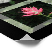 Poster Fleurs sauvages de l'Ouest Montana (Coin)