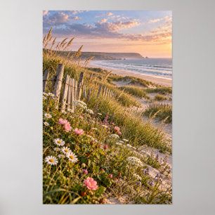 Poster Fleurs sauvages des dunes côtières Coucher de sole