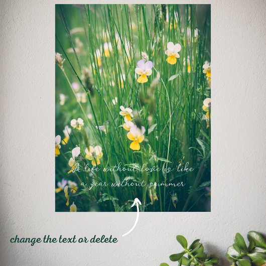 Poster Fleurs sauvages d'été