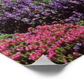 Poster fleurs sauvages d'été à la base du Mont Rainier, (Coin)