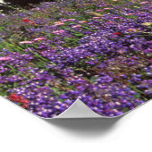 Poster fleurs sauvages d'été à la base du Mont Rainier, 2 (Coin)